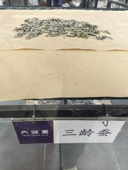 -太湖雪蚕桑文化园