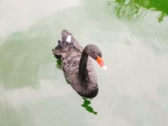 -昆明动物园
