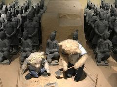 -成都泰迪熊博物馆