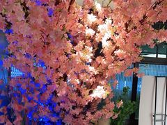 -野妹火锅(龙岗店)