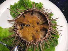 -鲜鲜·鲅鱼圈海鲜(于洪店)