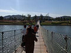 -羊亭河湿地公园