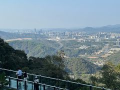 -黄埔油麻山森林公园