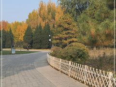 -北坞公园