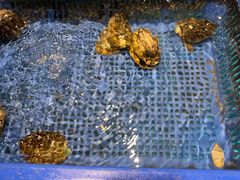 -拉完海鲜大排档(温岭店)