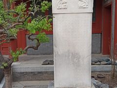 -楚畹园