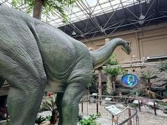 -国家自然博物馆