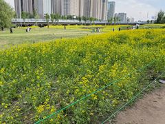 -长白岛森林公园