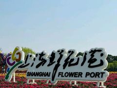 -上海鲜花港