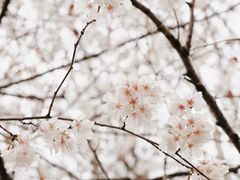 -武汉马哥孛罗酒店