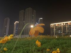 -万达影城(东西湖中心广场XLAND店)