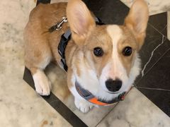 -MEEBO KAFEE米咖焙坊(虹桥路店)