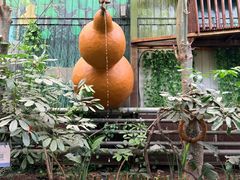 -呀路古热带植物园