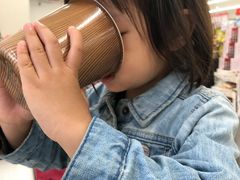 -北海道厅旧本厅舍(旧本庁舎)