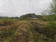 -万泊酒店(长沙五一广场国金中心店)