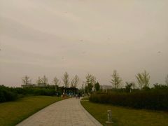 -九里河湿地公园