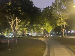 -海心沙亚运公园