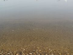 -天鹅湖体育公园