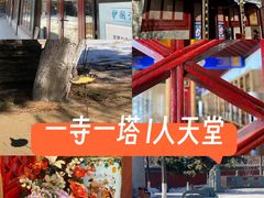 -护国法轮寺