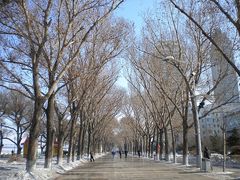 斯大林公园-斯大林公园