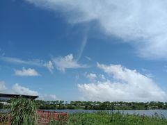 -芒洲湿地公园