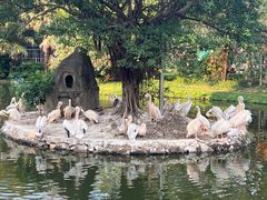 -深圳野生动物园