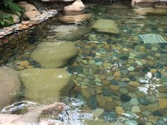 -天目湖涵田半山温泉