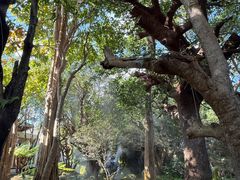 -Chom Cafe and Restaurant