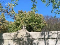 -上海吴淞炮台湾国家湿地公园
