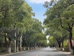 -上海长兴岛郊野公园