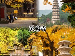 -济南大明湖景区