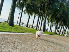 -辛巴宠物医疗中心·骨科·内分泌专科·心肾专科(亭林公园店)