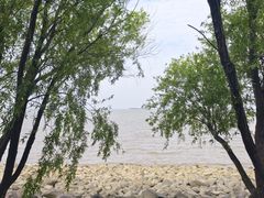 -上海吴淞炮台湾国家湿地公园