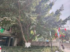 -沙河三洞古桥公园