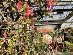 -呀路古热带植物园