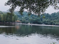 -西樵山风景名胜区-天湖公园