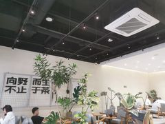 -森茶(湛江万达店)