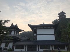 -中国沉香文化博物馆