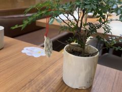 -CURRY YA 熟成咖哩專門店(深圳湾万象城店)