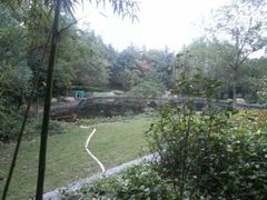 android_upload_pic-太阳岛旅游度假区