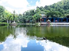 -西双版纳原始森林公园