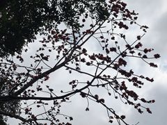 -南宁南湖公园