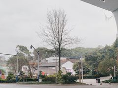 -泸州老窖景区