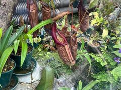 -国家植物园南园