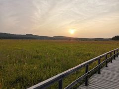 -塞罕坝国家级自然保护区