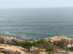 -广东惠东海龟国家级自然保护区
