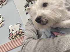 -汪说·狗咖(旺城大厦店)