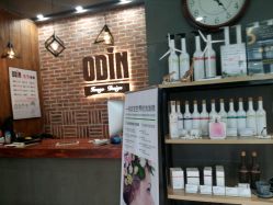 -ODIN 奥丁形象设计 