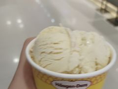 -哈根达斯(亿合城店)