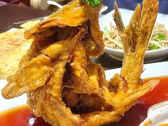 -老牌坊鲁菜名店(聊城美食岛店)